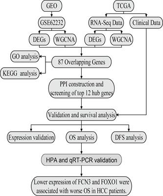 Identification and Validation of Hub Genes Associated With Hepatocellular Carcinoma Via Integrated Bioinformatics Analysis